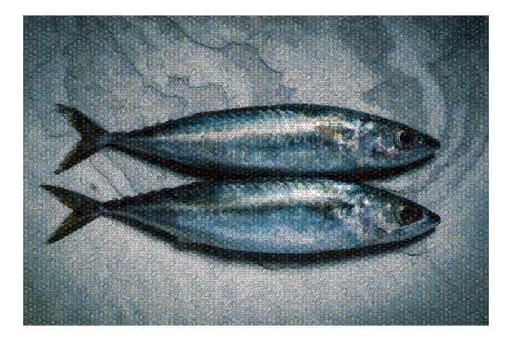 Mosaic created using TurboMosaic software from www.TurboMosaic.com